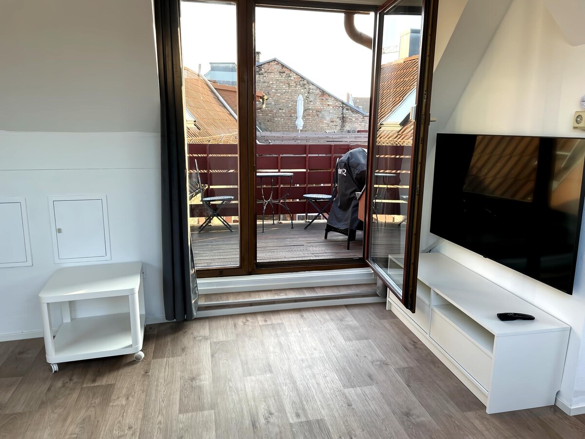 Top performing Airbnb: Close to the city center 1.5 room apartment + roof terrace in Karlsruhe