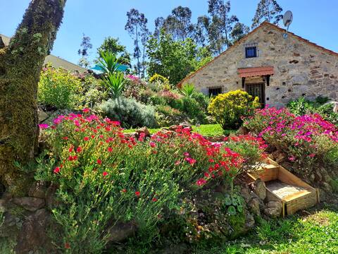 Cedrim Hillside - Sever do Vouga