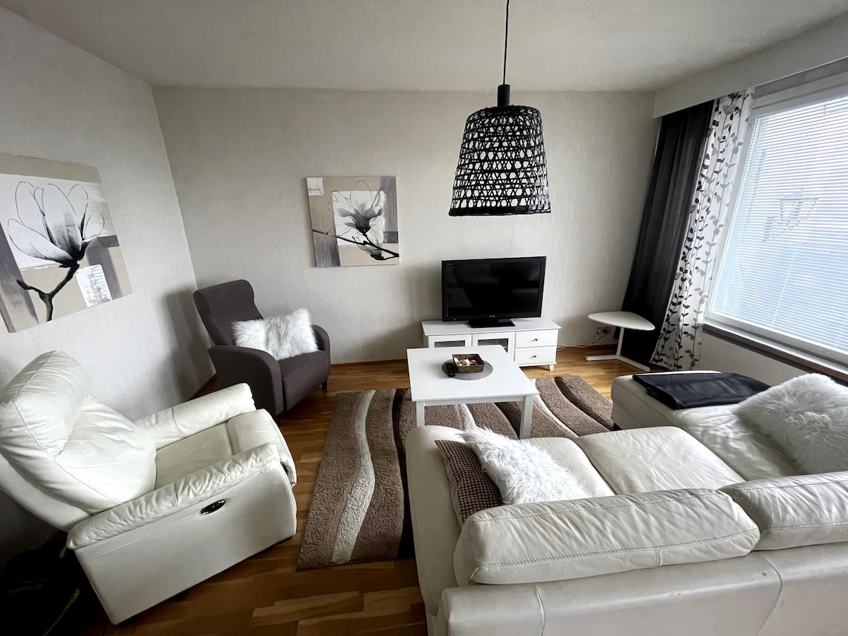 Fully renovated big apartment