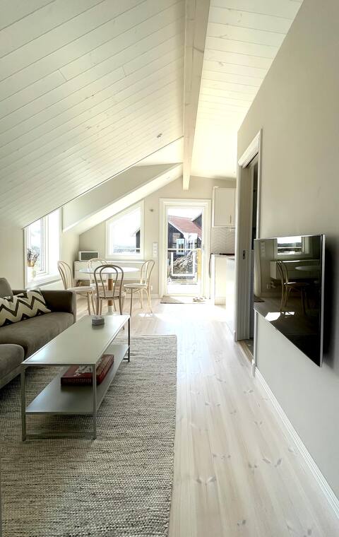 Modern sea view flat on the West Coast