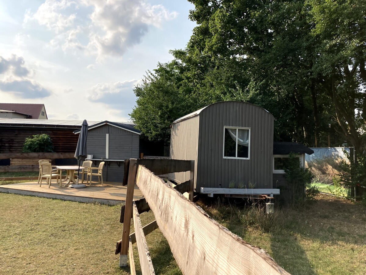 Top performing Airbnb: Construction trailer overnight stay & alpacas in Pirna
