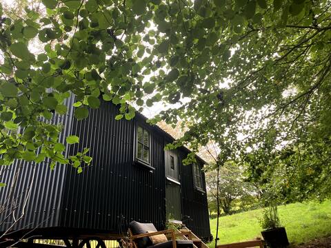 Cornwall Woodland Shepherd's Hut