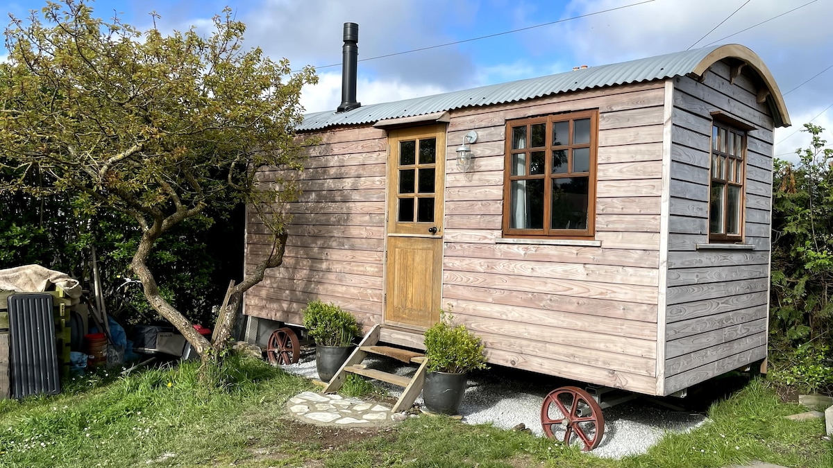 Popular Airbnb listing: 'Robin's Rest' Shepherds Hut in St. Minver Highlands