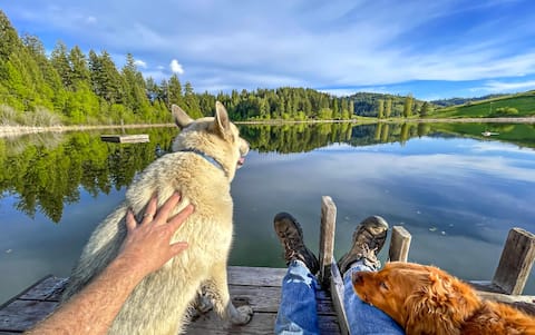 Oma’s Lakefront Cottage: Fish/Boat/Swim from dock