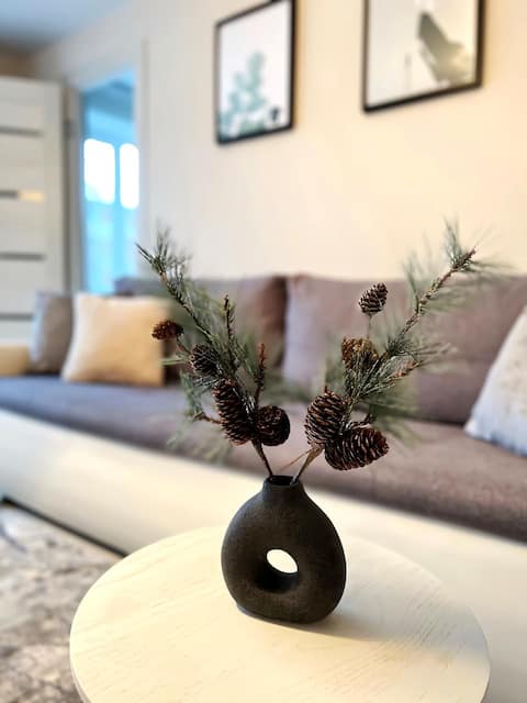 New Modern Apartment in the City Center
