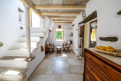 Lemon Tree House