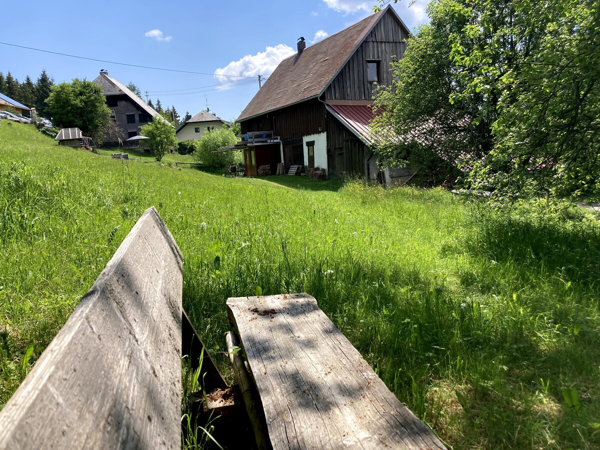 Airbnb con migliori performance: Hinterhäuser #20 a Schluchsee