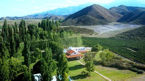 House in your own vineyard - Mosquita Muerta Wines