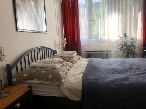 Cosy66