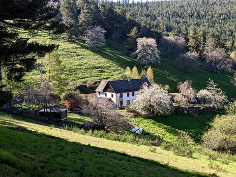 Ferme du petit Hohnack - Sauna and hammam