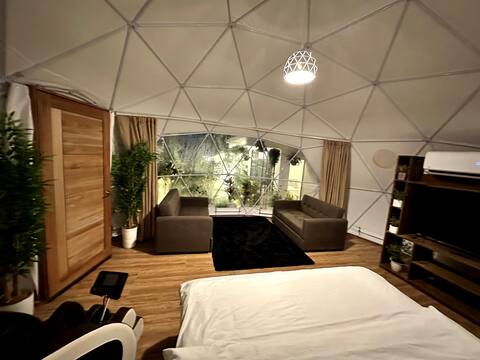 Dome of the Forest
