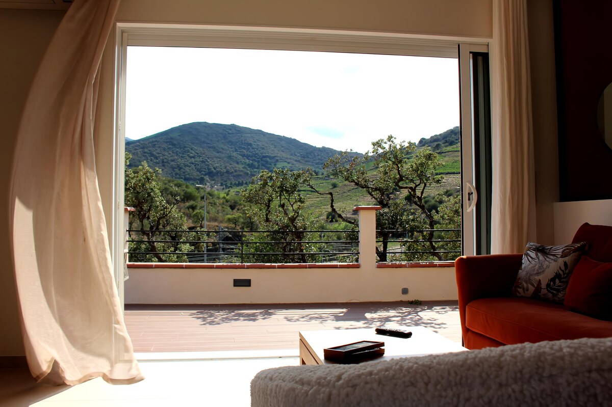 Annuncio Airbnb popolare: House Sizoill one-storey 2 bathrooms park place a Port Vendres