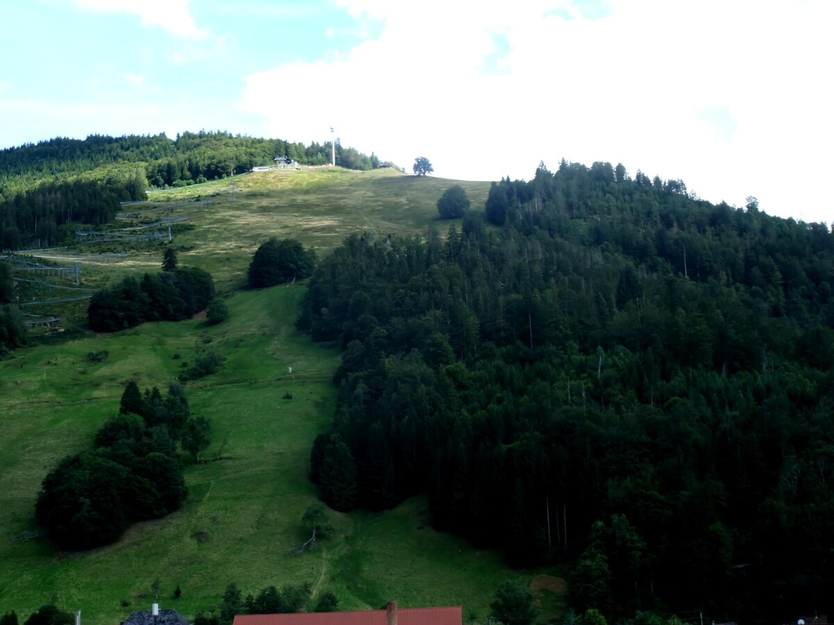 Proprietà Airbnb di successo: House Hasenhornblick Kaiser a Todtnau