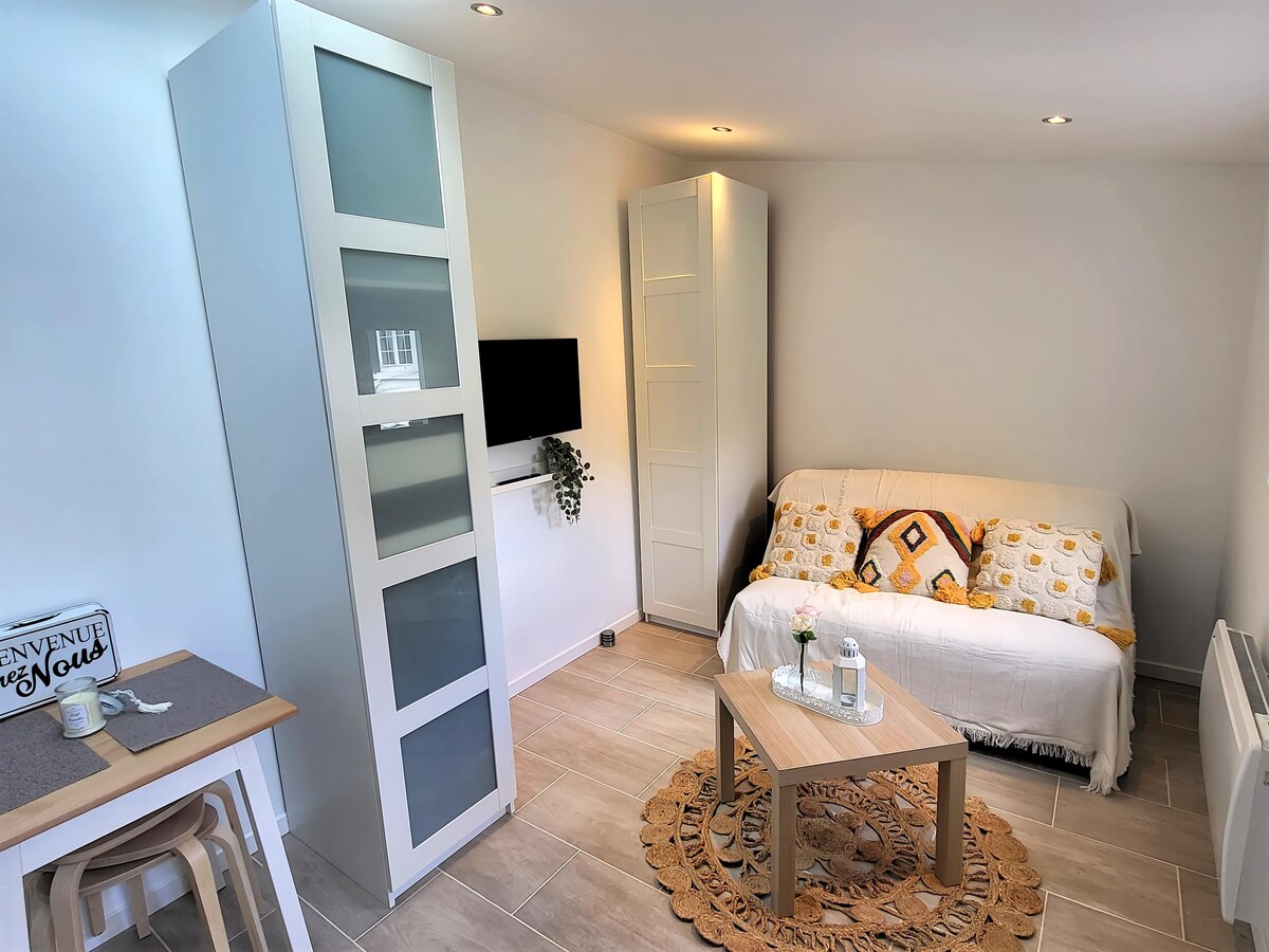 Annuncio Airbnb popolare: Charming studio located 12 minutes from Parc Asterix/CDG a Val D'oise