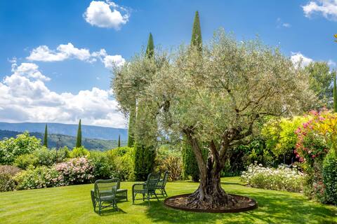 Wonderful house in Provence