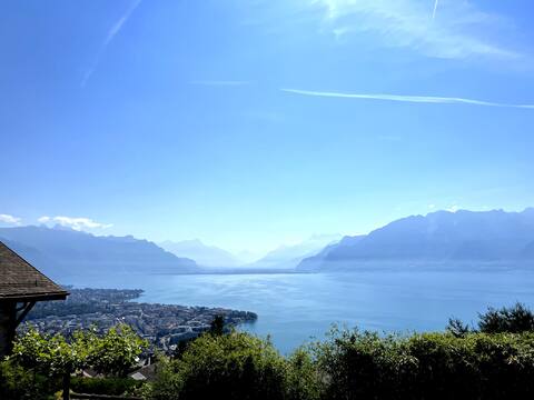 Crazy charm in the heart of Lavaux