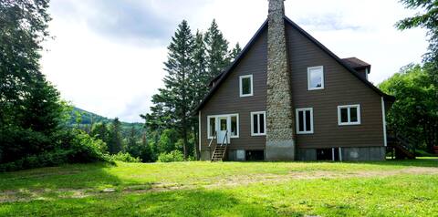 Pine villa