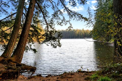 Lake View House w Beautiful Acres to Explore