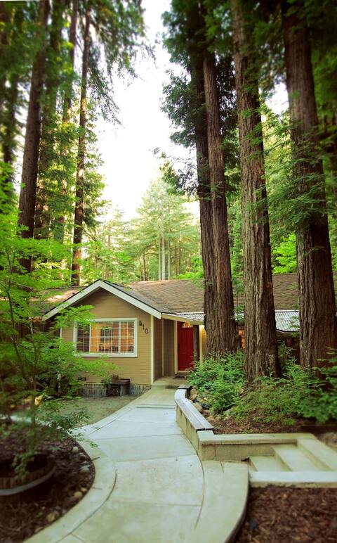Cozy cabin the Redwoods - Dogs Welcome!
