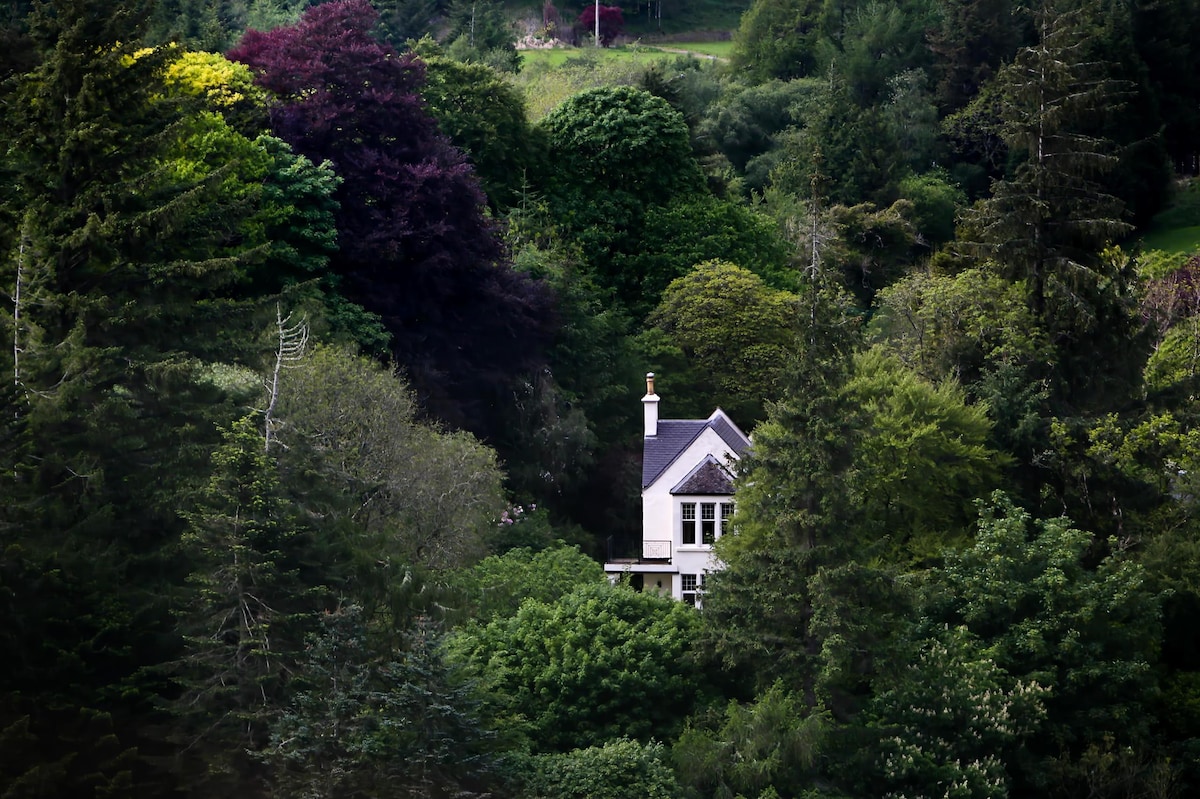 Luxury country house set in its own little forest