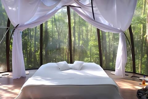 Dome suspended in the Atlantic Forest!