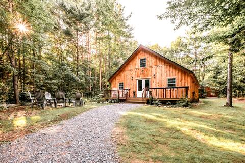 The Treehouse Lodge