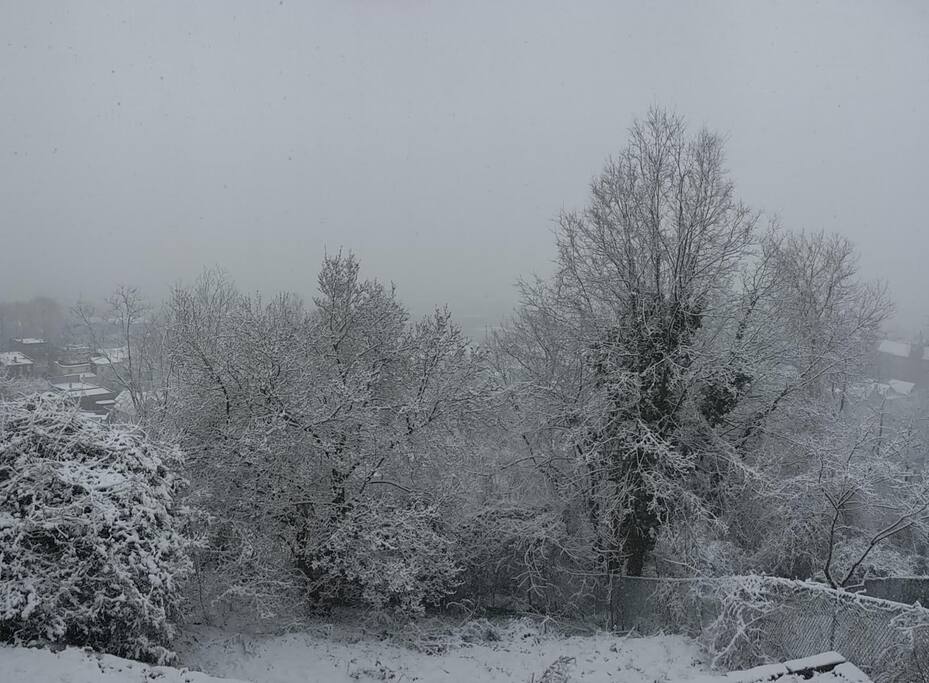 Backyard view in the winter