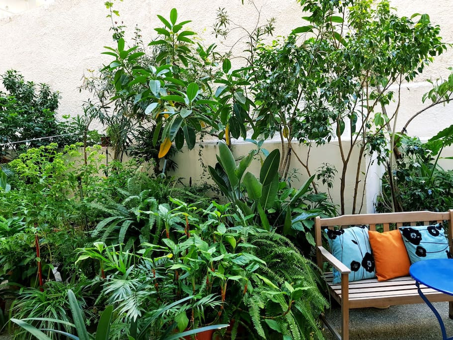 garden area
