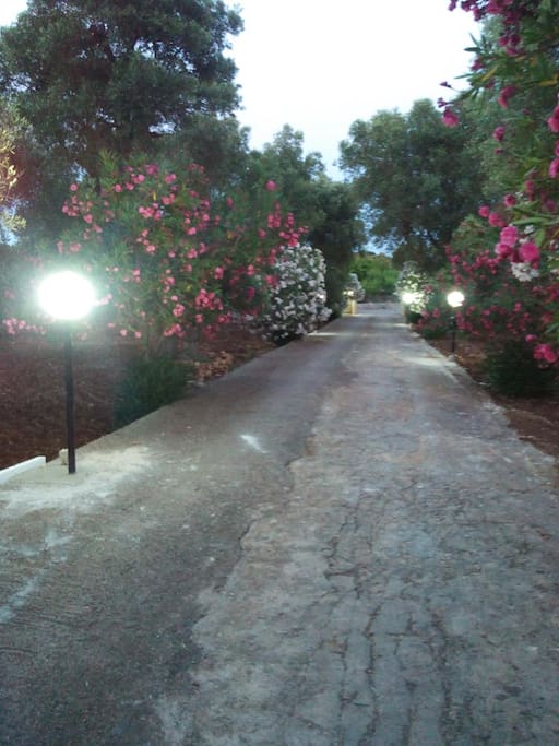 vialetto ingresso condiviso