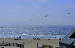 Steps+from+SAND+-LUXURY+Condo+in+Heart+of+PISMO%21