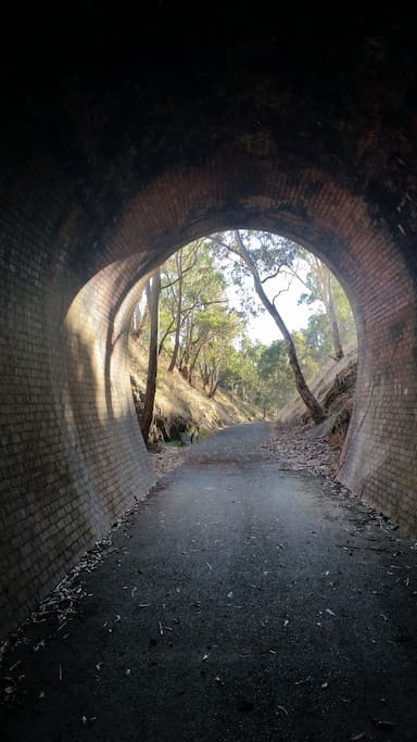 The light at the end of the Cheviot Tunnel, Rail Trail