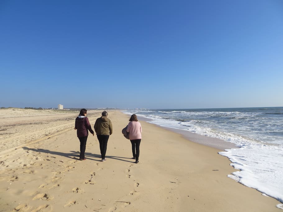Another December day on the beach.
