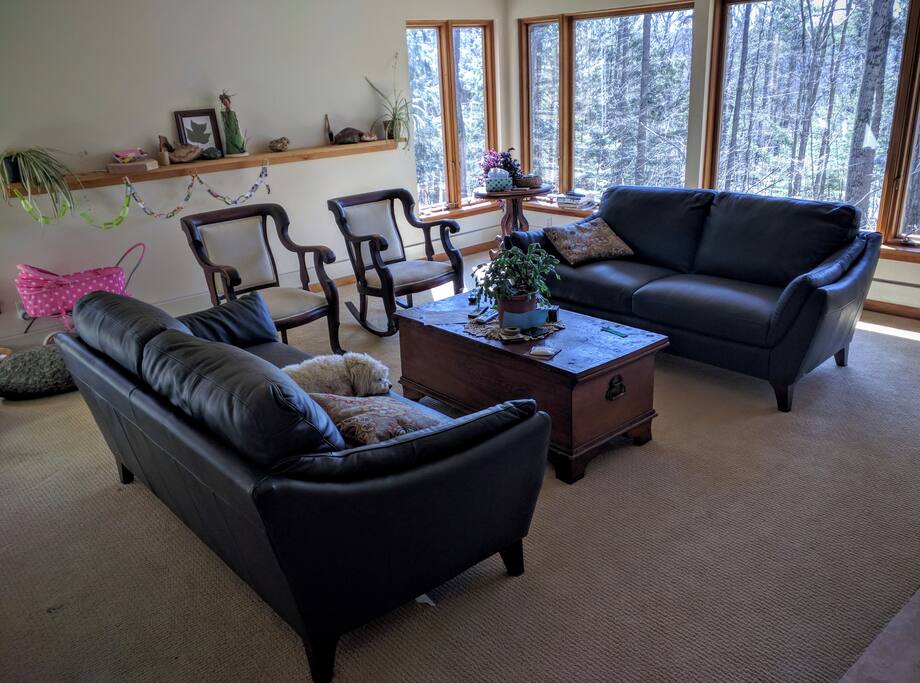 Sitting room in the trees.