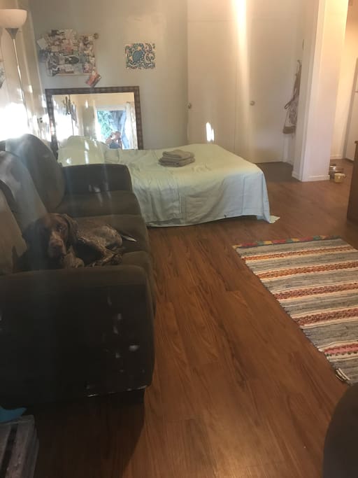With your own private entrance the front space becomes a studio apartment with access to the full size kitchen and shower.