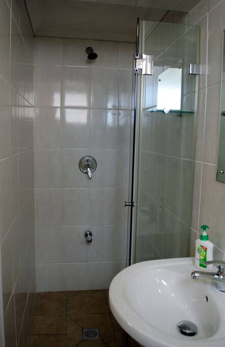 Ensuite toilet and shower.