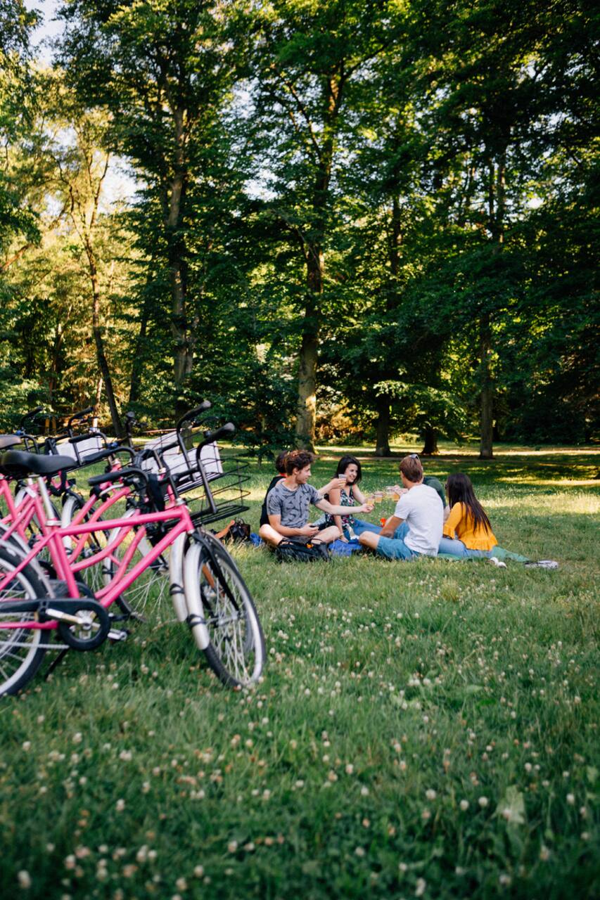 Tour by sustainable bike sharing Rekola - Airbnb