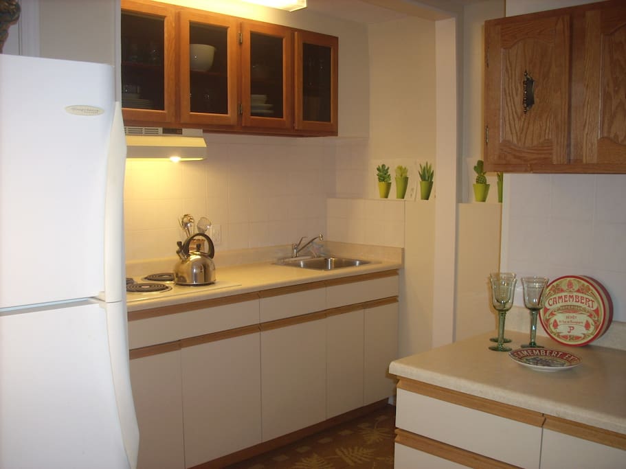 Kitchenette with full-size fridge and stove-top.