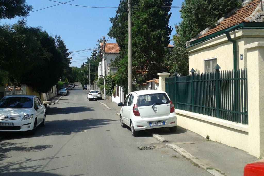 Down the street in front of the house
