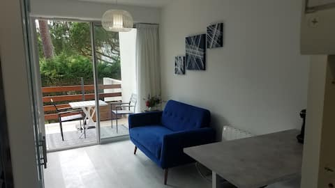 Propriété Airbnb réussie: Studio 22 m2 + terrace, Park district à Royan