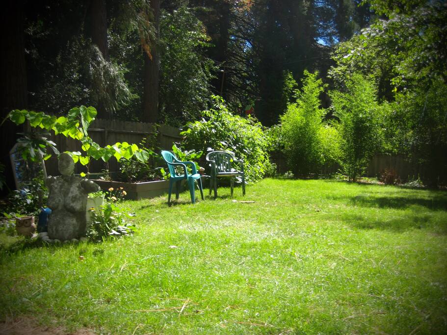 Bright sunny yard in the summer time