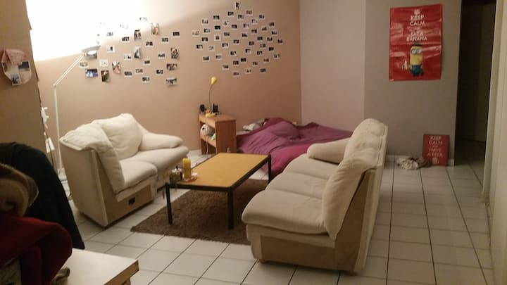 「位于Croix-Rousse山坡中心的41平方米单间公寓」图片 1