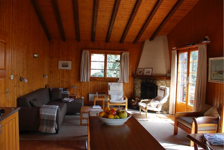 Cosy Chalet In Vex / Wintersport / Near 4 Vallées - Thyon