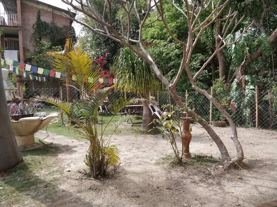 Fenced-in garden