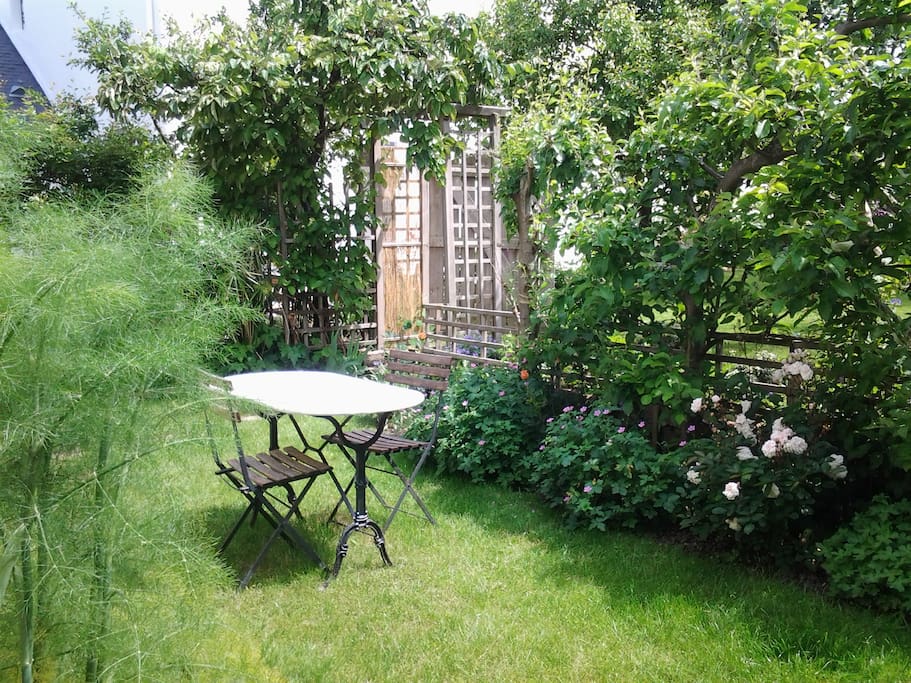 le petit jardin 50m²