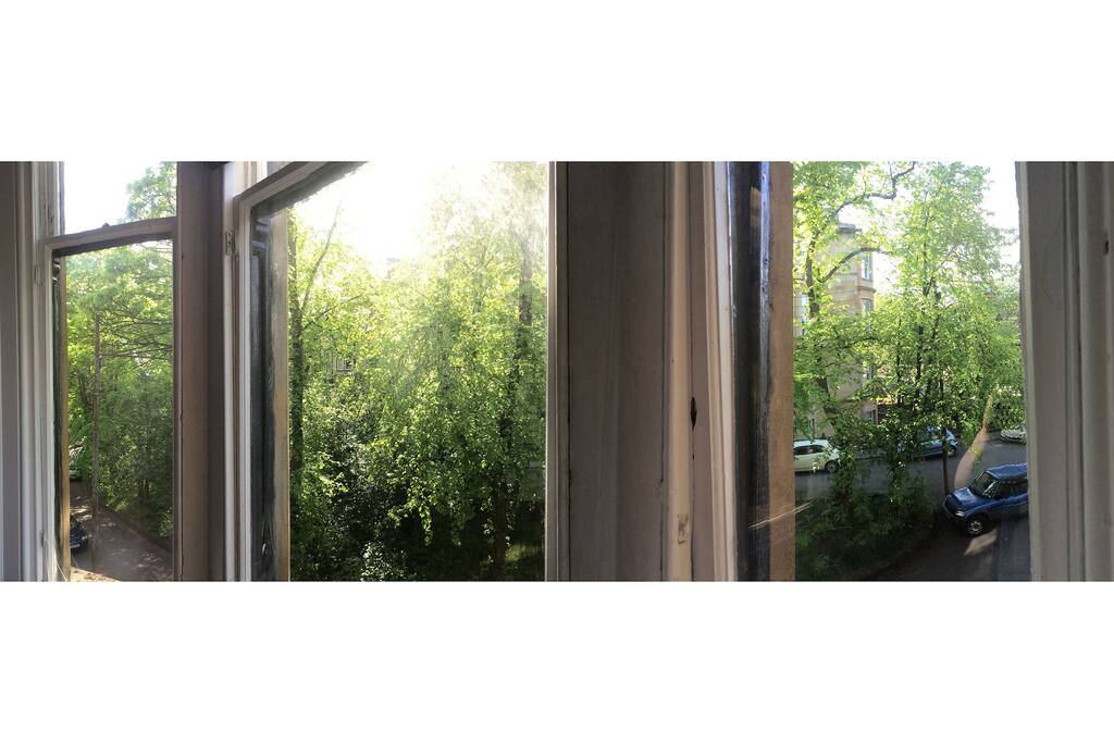 Leafy Streets just minutes from Byres road