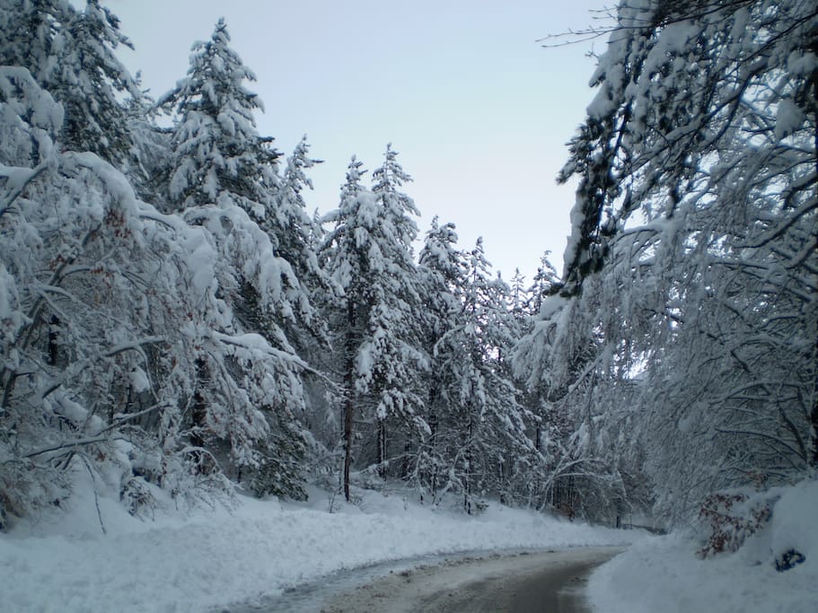 Viale che costeggia l'abitazione