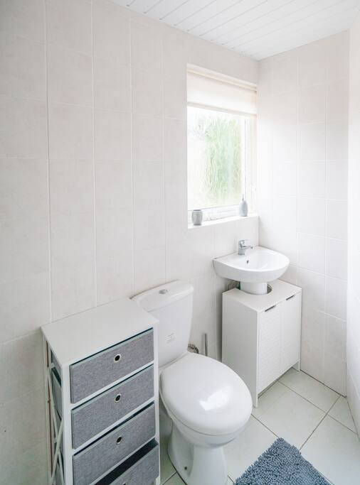 First Floor Shower / Bathroom (Second Shower / Bathroom Also)