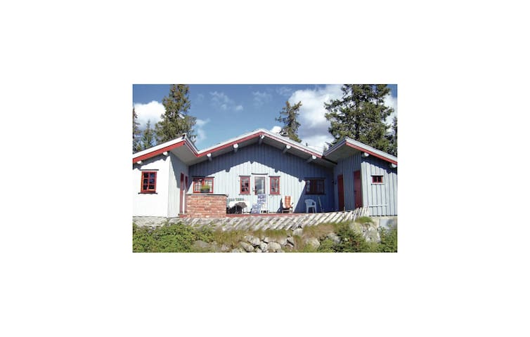 Holiday cottage with 3 bedrooms on 65m² in Sjusjøen