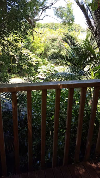 The fabulous backyard and garden of our home.
Standing on the 3rd landing, with a drink in hand....