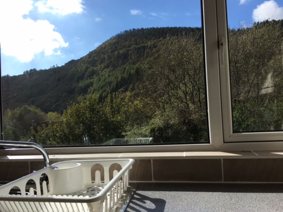 View from kitchen